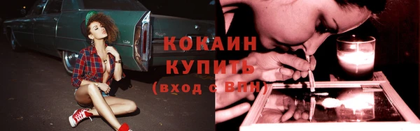 ГАЛЛЮЦИНОГЕННЫЕ ГРИБЫ Михайловск