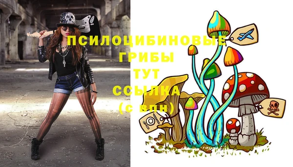 дмт Михайлов