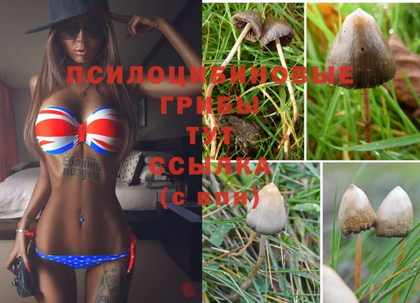 меф Кукмор