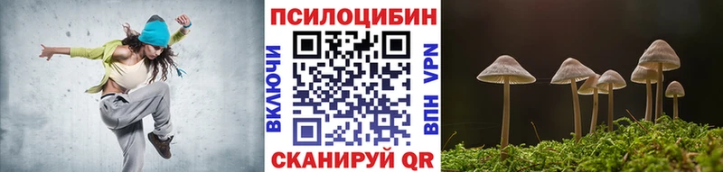 Псилоцибиновые грибы мицелий  Нижняя Салда 
